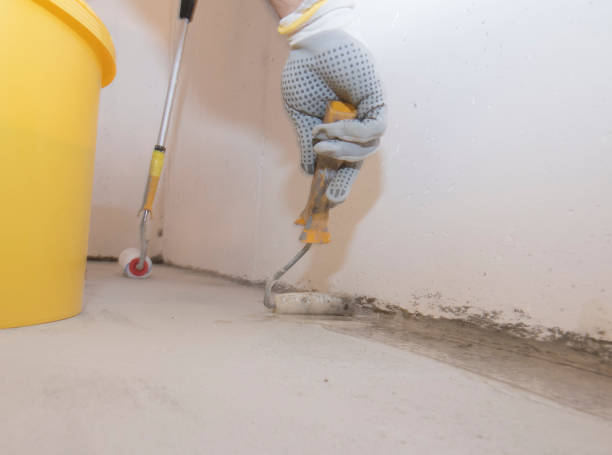 Best Pest Prevention Services  in Helena, OK